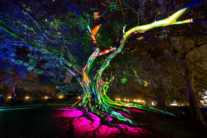 2016 年 Vivid Sydney「光影」藝術節華麗開啟