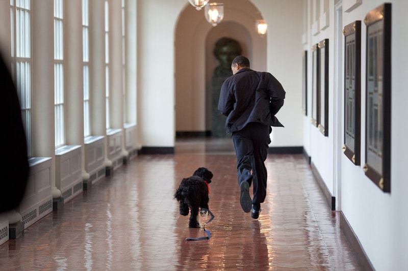 捕捉美國總統 Obama 工作日常－幕後的攝影師 Peter J. Souza