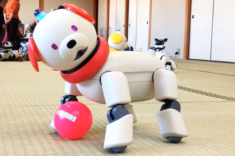 SONY 將重新啟動家用機器人事業