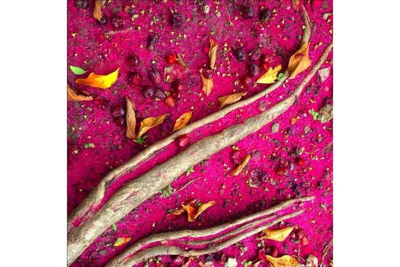 2016 iPhone Photography Award Winners
