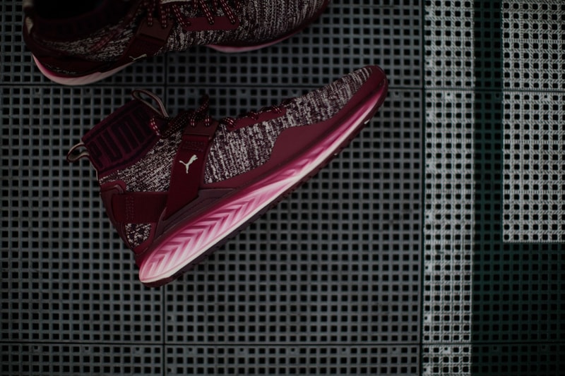 率先預覽 Puma Ignite EvoKNIT 2017 年新作