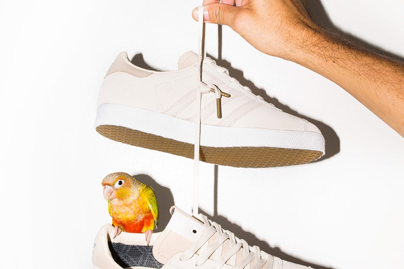adidas-consortium-saint-alfred