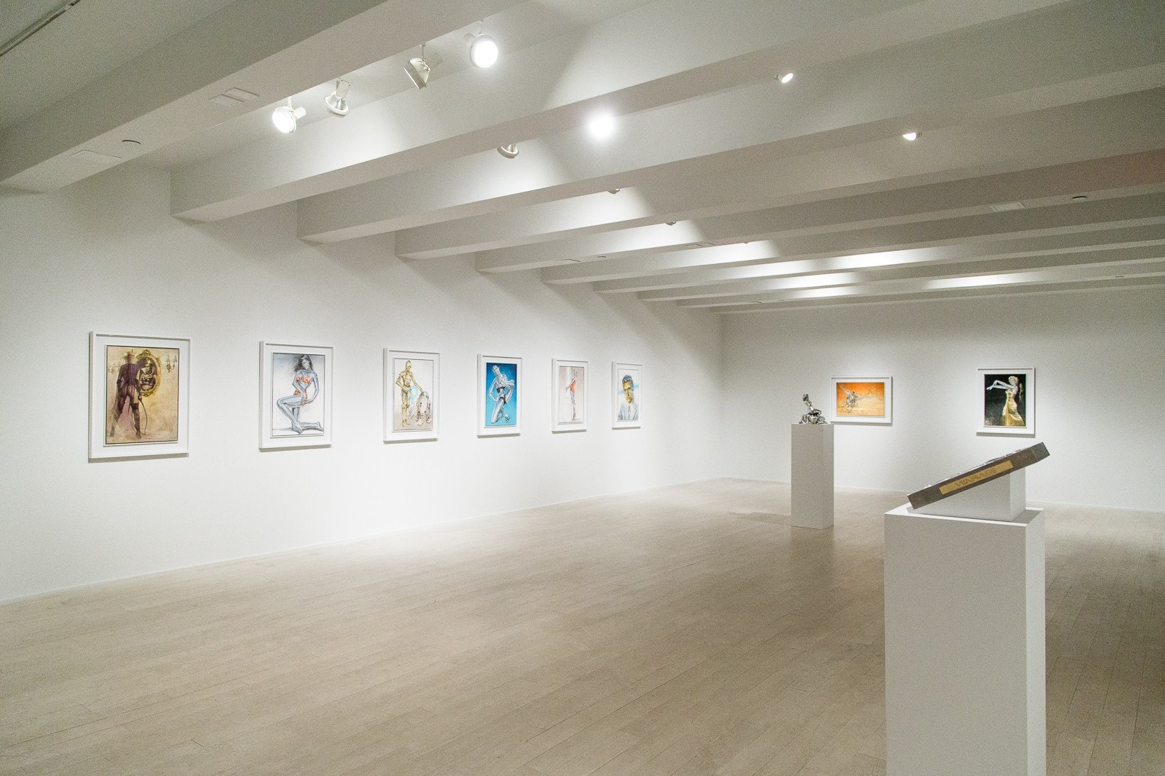 Hajime Sorayama Exhibition Jacob Lewis Gallery