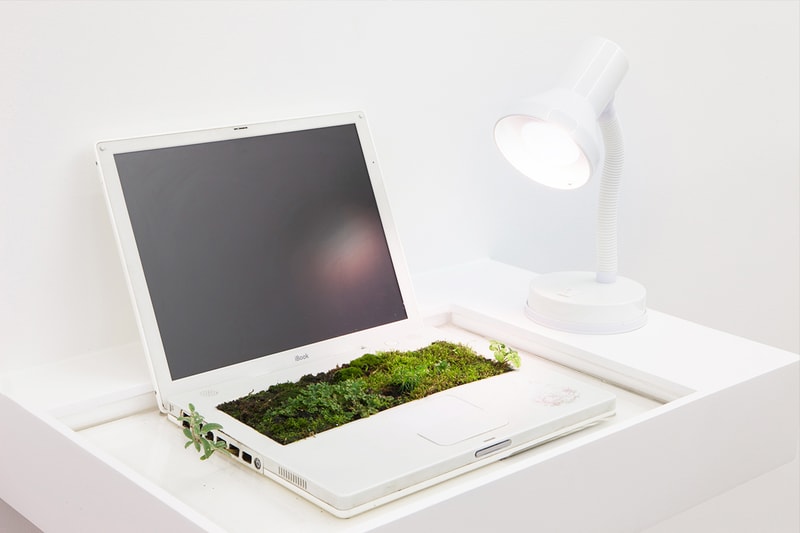 用球鞋作盆景、以蝸牛作畫？！走進 Michel Blazy 東京藝術展《Living Room II》