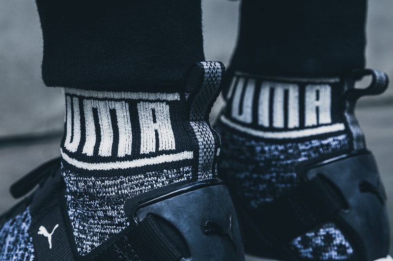 PUMA IGNITE evoKNIT 
