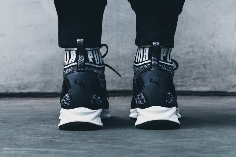 PUMA IGNITE evoKNIT 