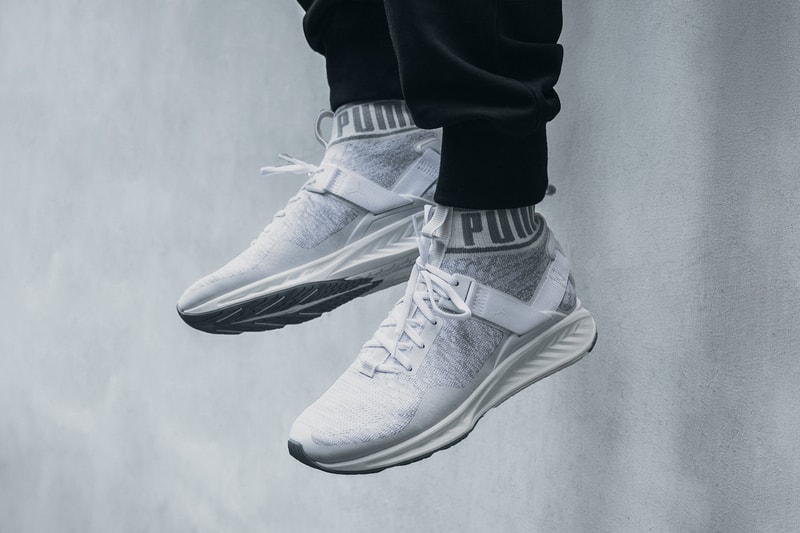 PUMA IGNITE evoKNIT 