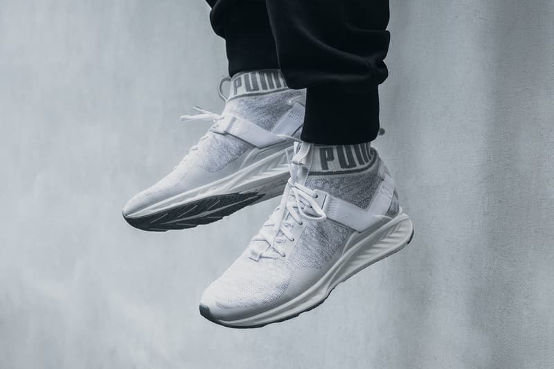 PUMA IGNITE evoKNIT