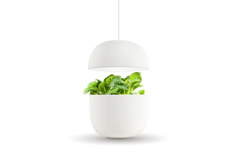 芬蘭品牌 Plantui 智能植物園