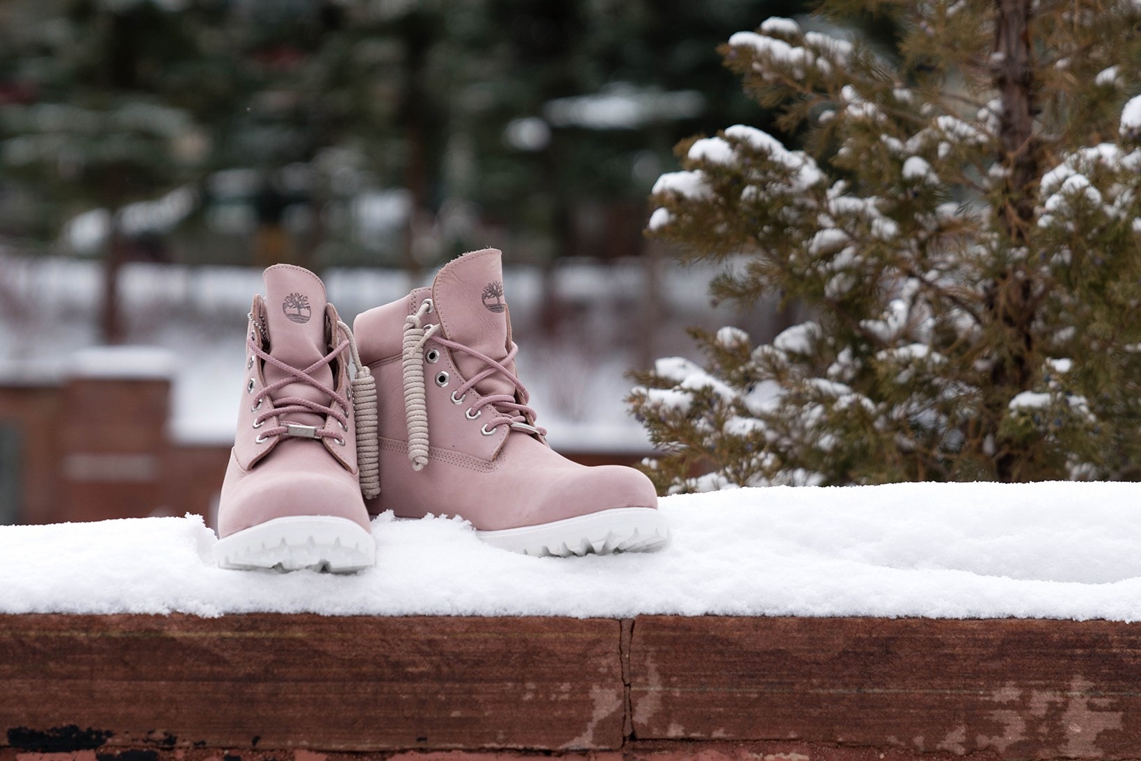 Ronnie Fieg x Timberland 6" Boot "Friends & Family" Edition