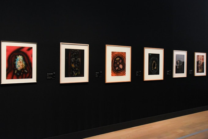 率先走進「草間彌生 我們永遠的靈魂」展覽現場