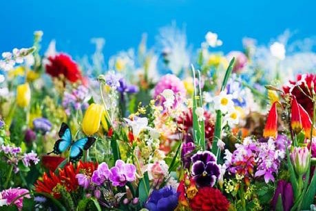 蜷川實花最新個展「earthly flowers, heavenly colors」東京開催