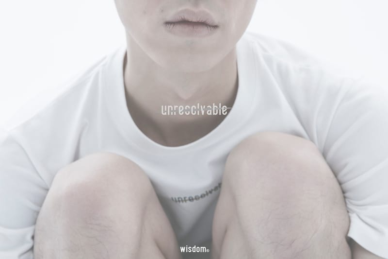 wisdom 2017 春夏系列「UNRESOLVABLE」全新形象