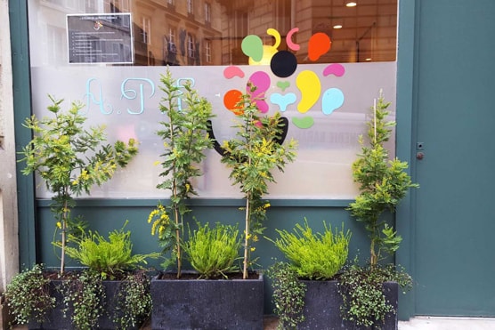 潮流跨界!走進「A.P.C.」幼稚園「A.P.E.」