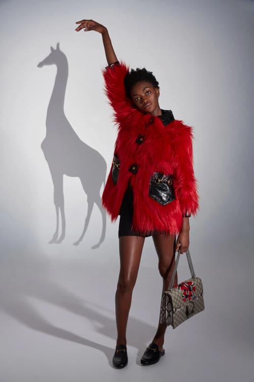 Gucci Animal Kingdom SSENSE Editorial