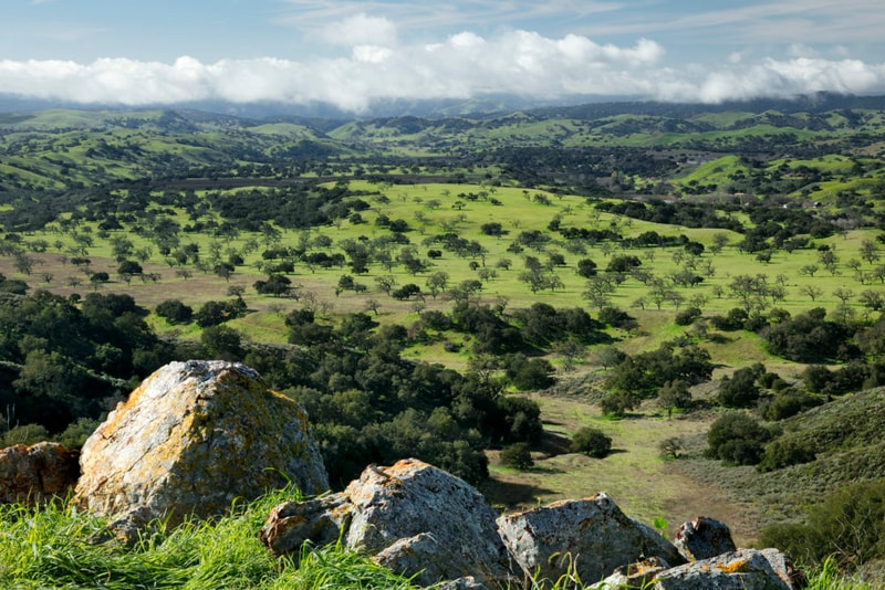 Michael Jackson Neverland Ranch Sycamore Valley Ranch