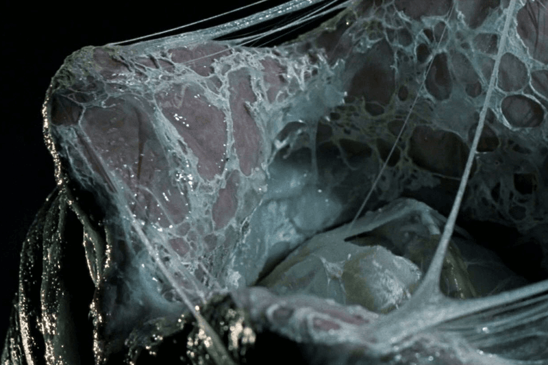 外星怪物 38 年經典依舊 － 異形的不同形態大解構