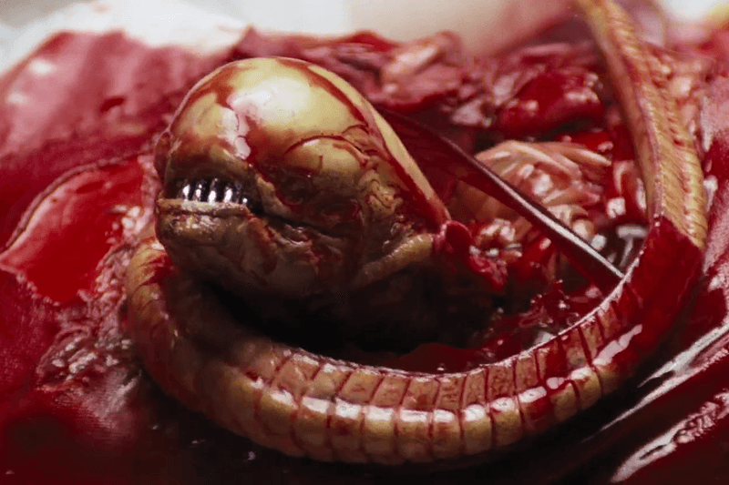 外星怪物 38 年經典依舊 － 異形的不同形態大解構