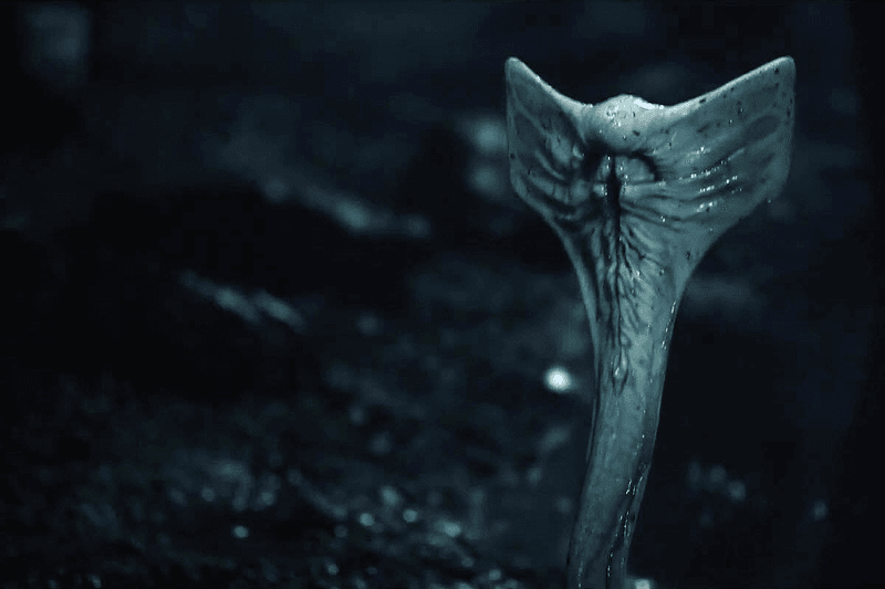 外星怪物 38 年經典依舊 － 異形的不同形態大解構