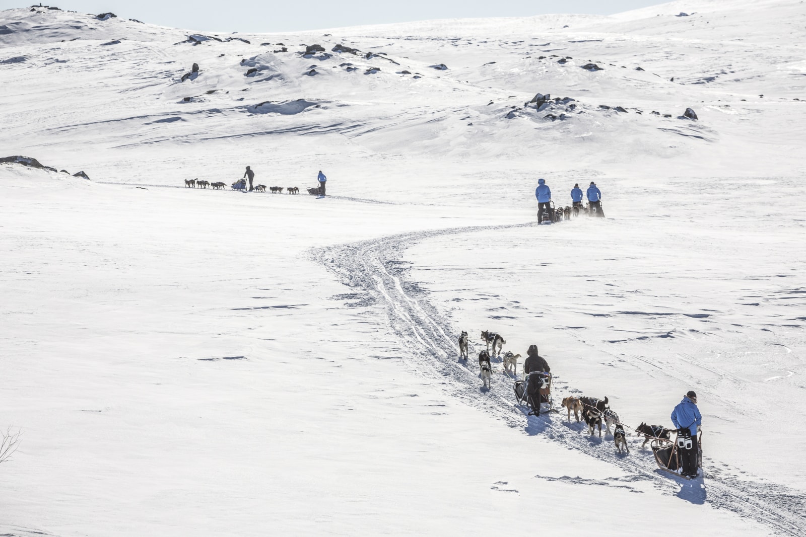Fjällräven Polar 2017 大型極地長征活動回顧