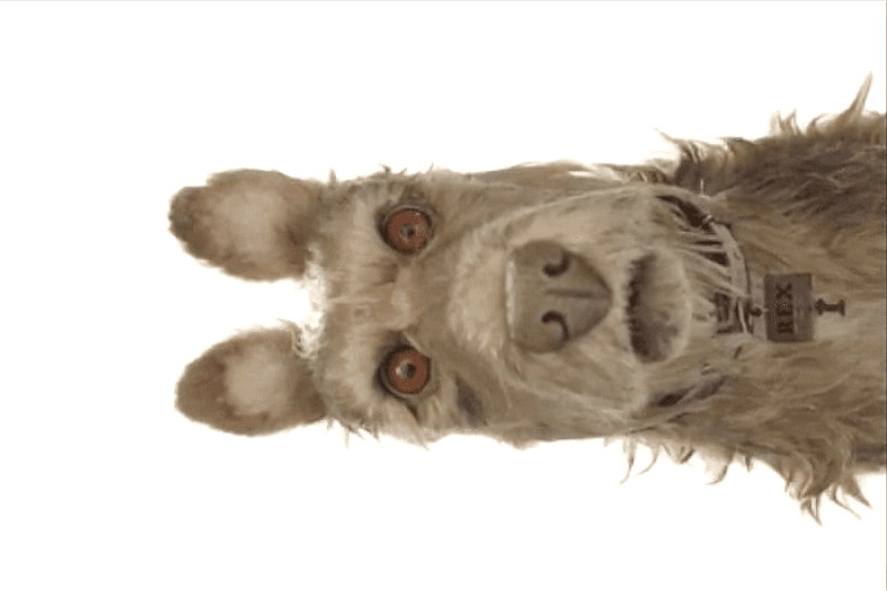 Wes Anderson 動畫新作《Isle of Dogs》海報釋出