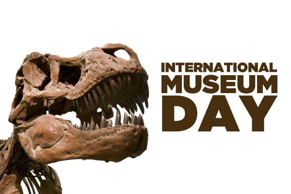 International Museum Day special, see these weird museums in the world
