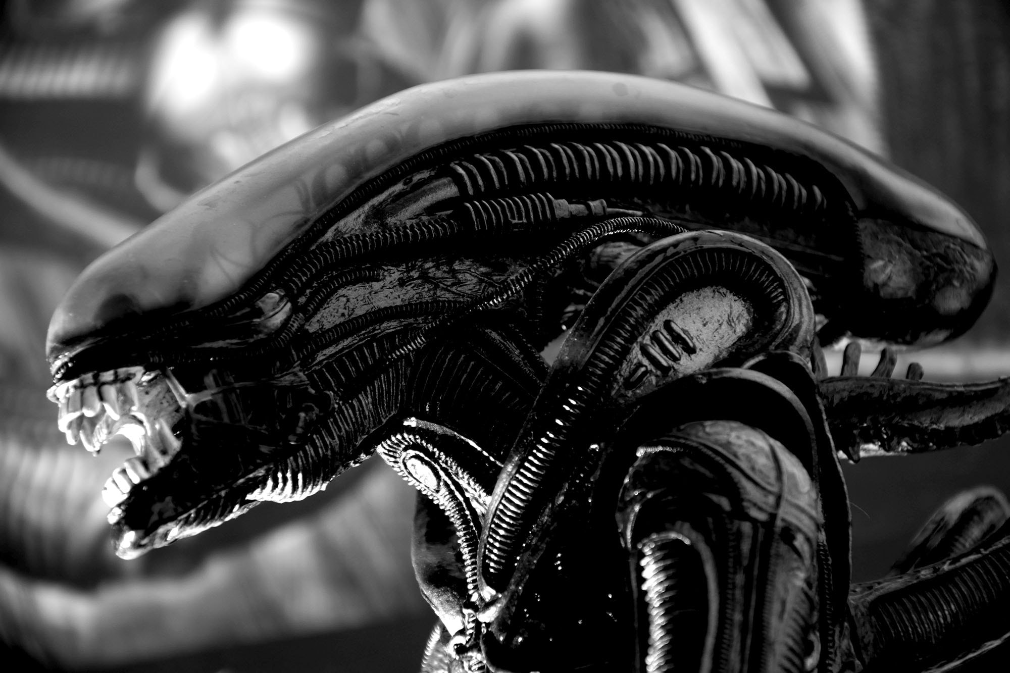 《Alien: Covenant》續集預計 2018 年開拍