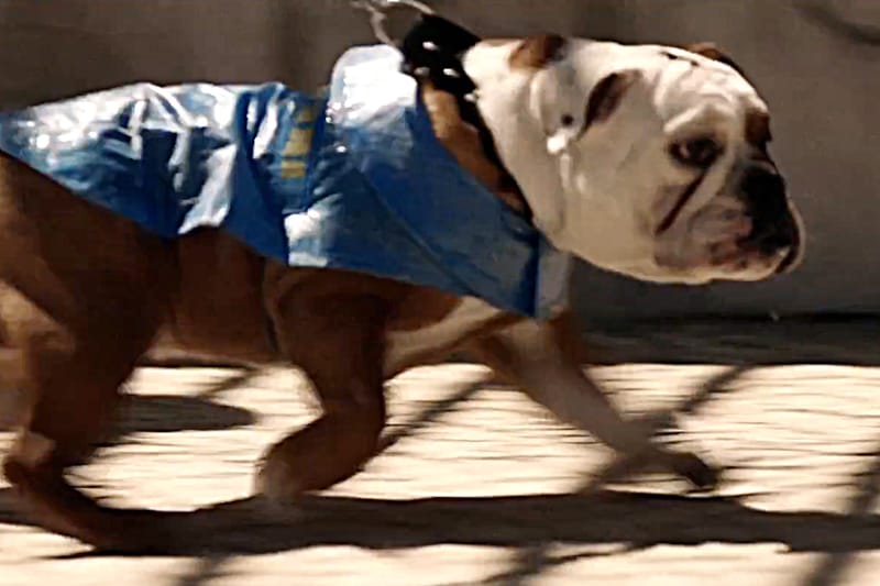 IKEA 為 FRAKTA 購物袋拍攝短片《The Blue Bag》