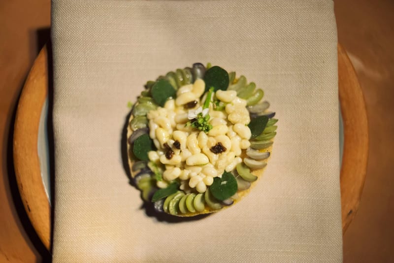 Hungry Twins #003．世界最高餐廳 noma 暫休前的最後 Pop-Up Kitchen