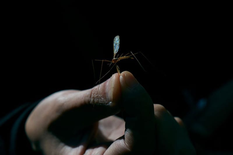 中村世紀之釣魚哲學－認識日本和式毛鉤飛釣傳統 Tenkara
