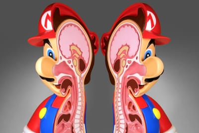 公仔解剖 - Jason Freeny 首次個展「Plastic Surgeon」將於銀座開催