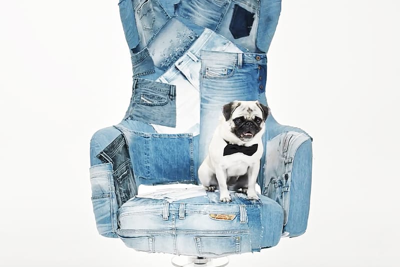 Diesel 創辦人招聘 CEO－首要條件是要「坐」得好