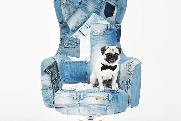 Diesel 創辦人招聘 CEO-首要條件是要「坐」得好