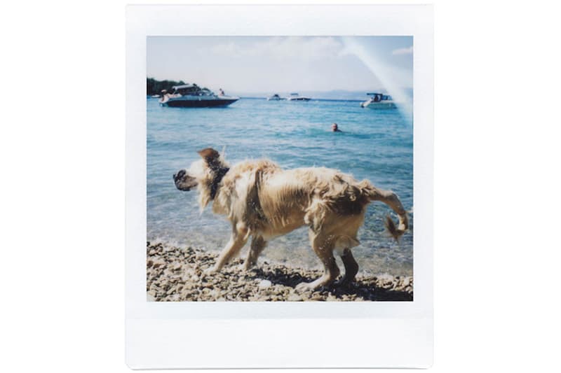 方形拍立得「Lomo'Instant Square」台灣發售訊息曝光