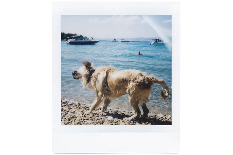方形拍立得「Lomo'Instant Square」台灣發售訊息曝光