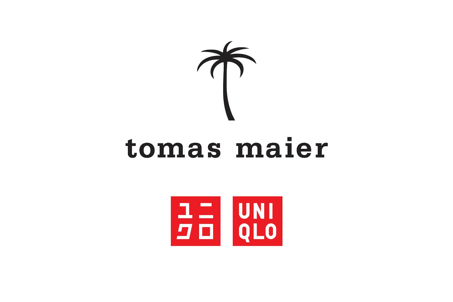 UNIQLO 宣佈將與 Bottega Veneta 創意總監 Tomas Maier 推出聯乘系列