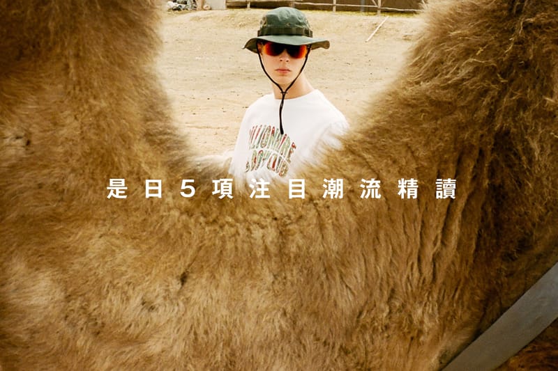 是日 5 項注目潮流精讀