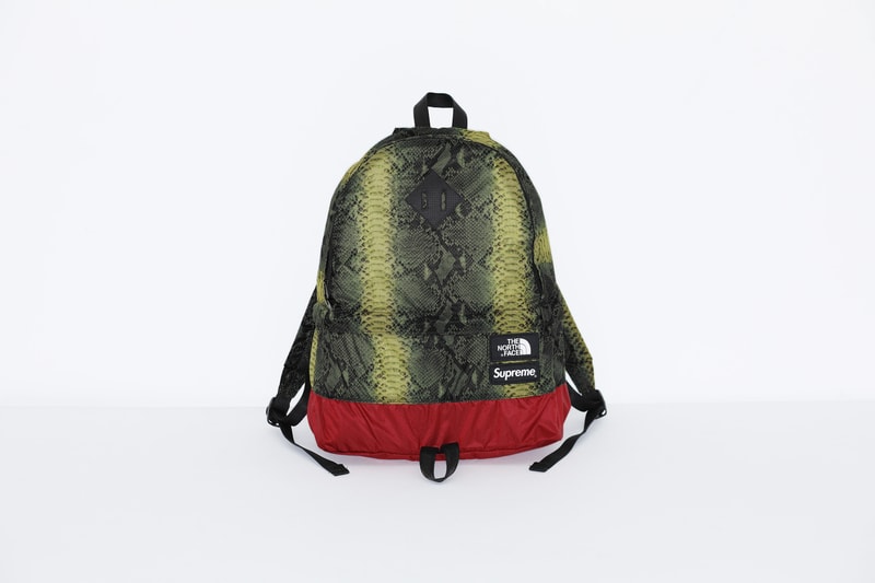 Supreme x The North Face 2018 春夏「Snake-Print」系列正式發布