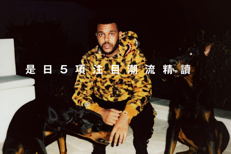 是日 5 項注目潮流精讀