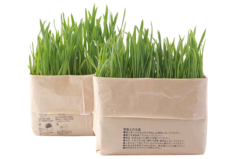 貓奴必須！MUJI 推出 DIY 貓草