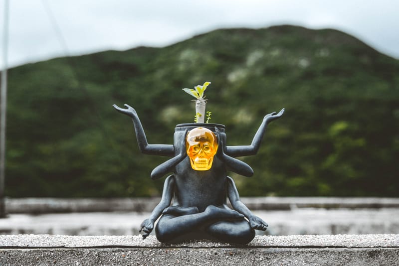 WOAW 與 Prodip Leung 合作再度推出「Plants of Gods II」Terrarium