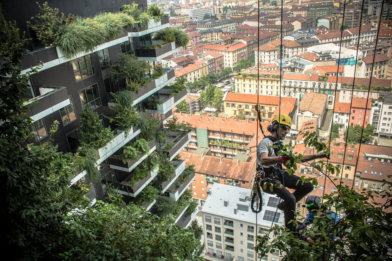 建築大師設計解構！Stefano Boeri 名作：垂直森林 Bosco Verticale