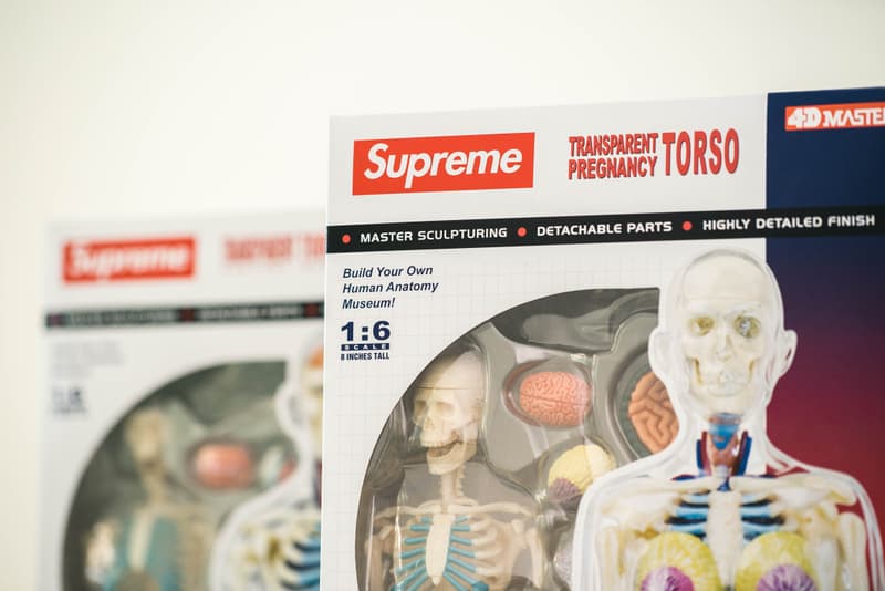 蜚聲國際!Supreme 本季人體解剖模型單品大有來頭?!