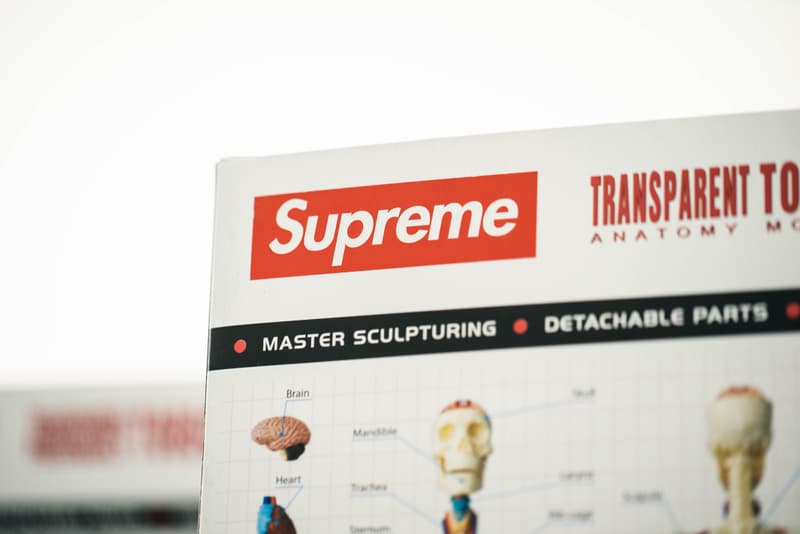 蜚聲國際!Supreme 本季人體解剖模型單品大有來頭?!