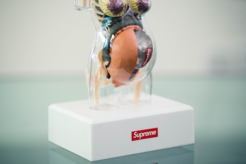 蜚聲國際！Supreme 本季人體解剖模型單品大有來頭？！