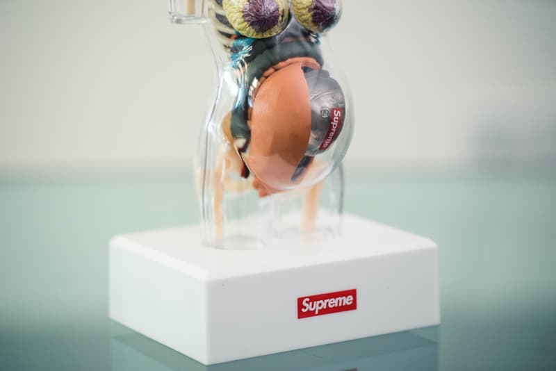 蜚聲國際!Supreme 本季人體解剖模型單品大有來頭?!