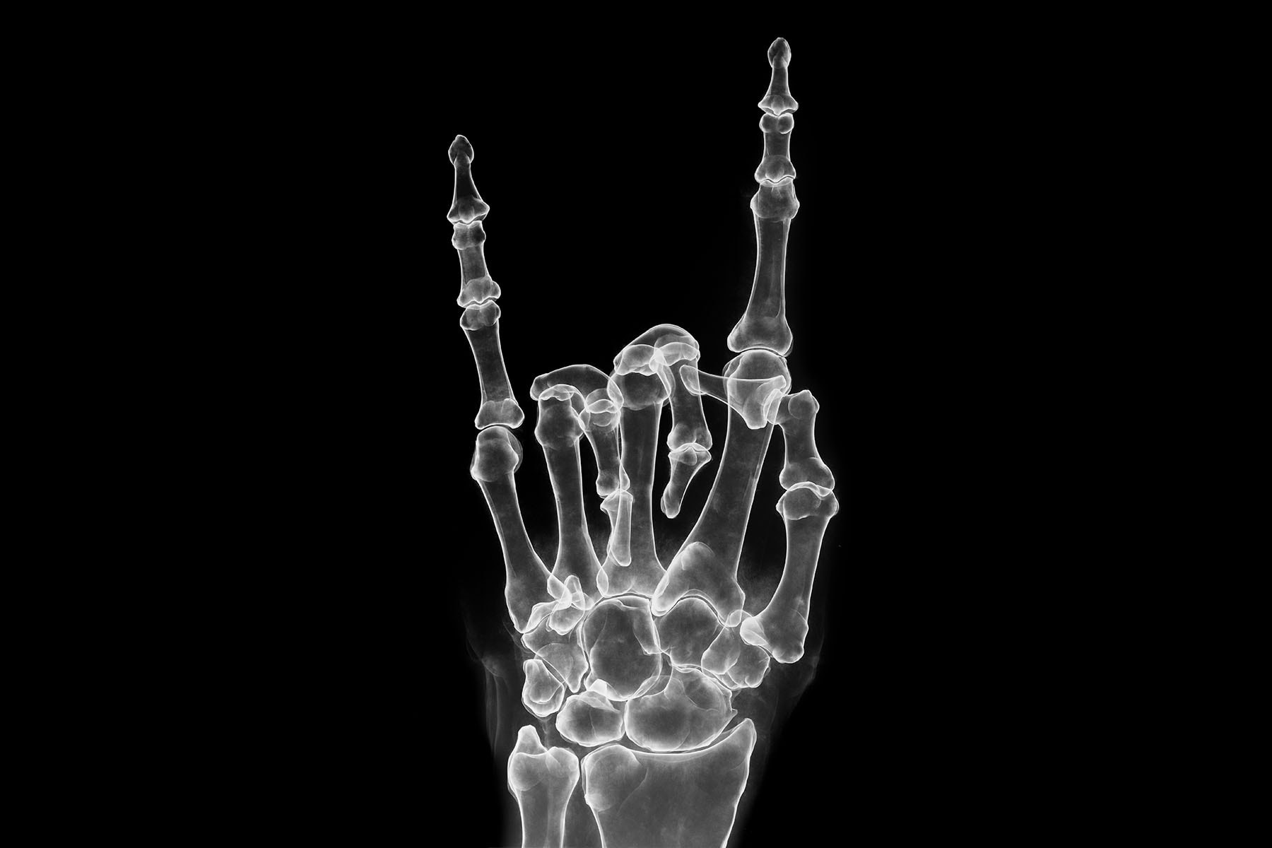 超逼真的 X 光塗鴉－藝術家 SHOK-1 與 BALLY 合作推出聯乘系列