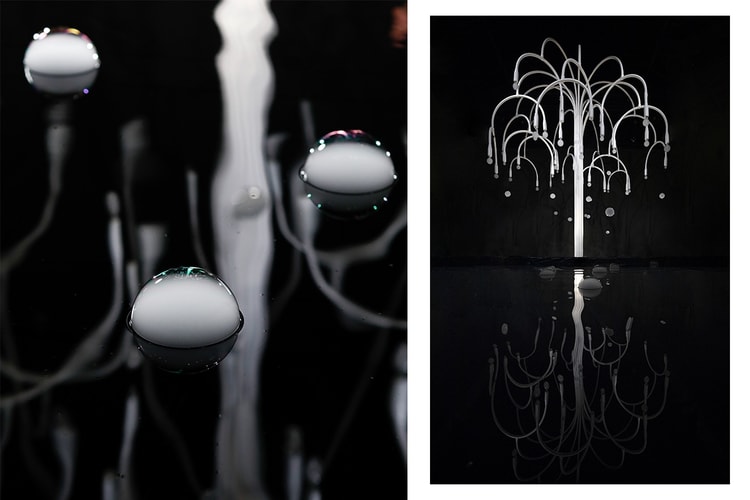 上海限定展出!COS x Studio Swine 藝術裝置「NEW SPRING」