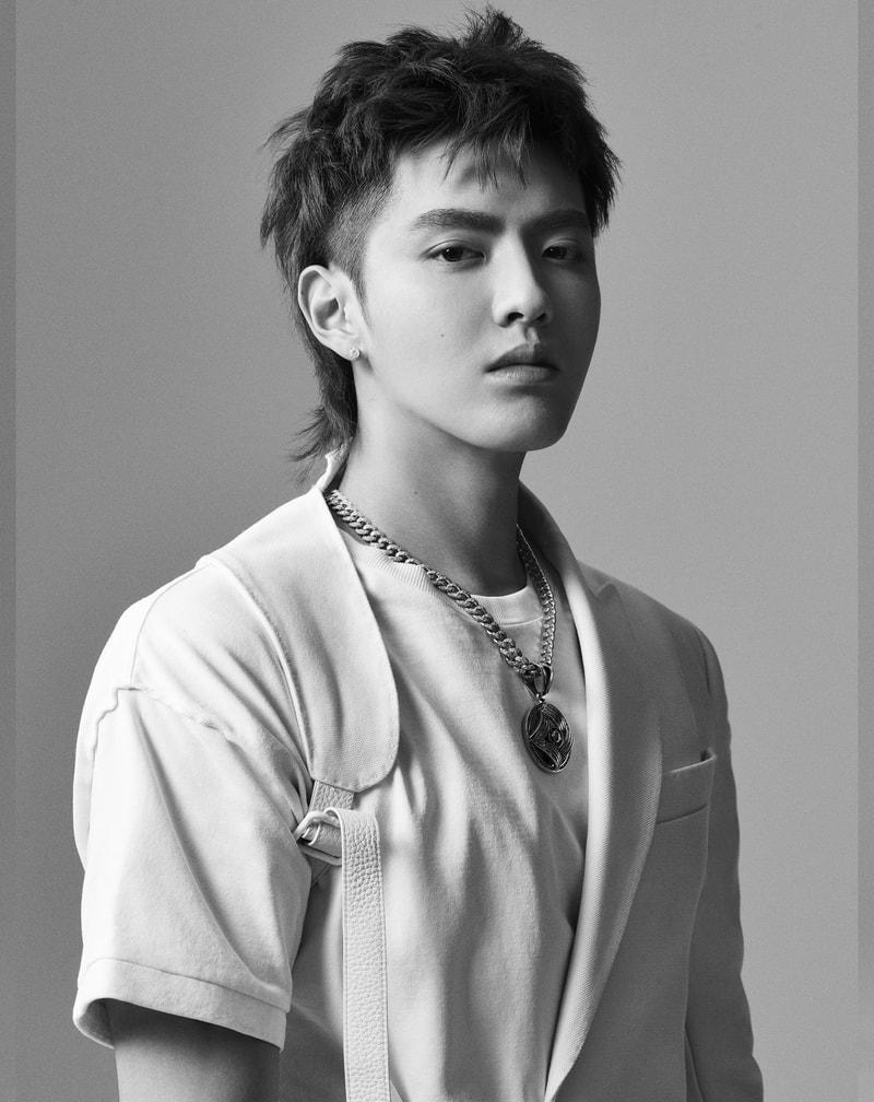 Louis Vuitton 宣佈 Kris Wu 吳亦凡成為最新品牌代言人
