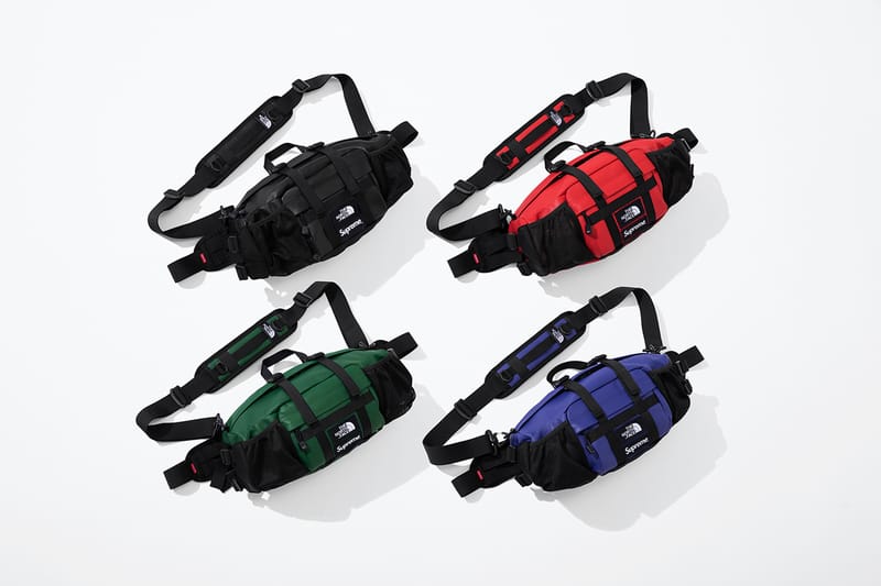 supreme north face leather backpack